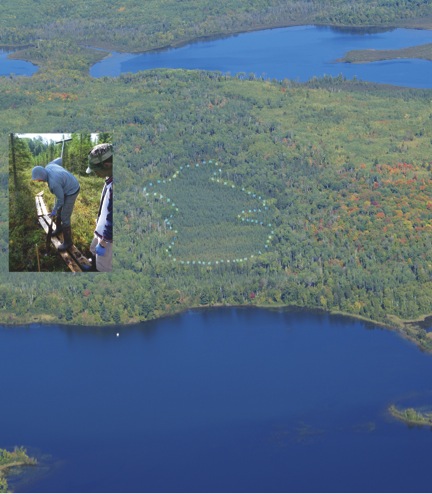 Spruce and Peatland Response Under Climatic and Environmental Change (SPRUCE)