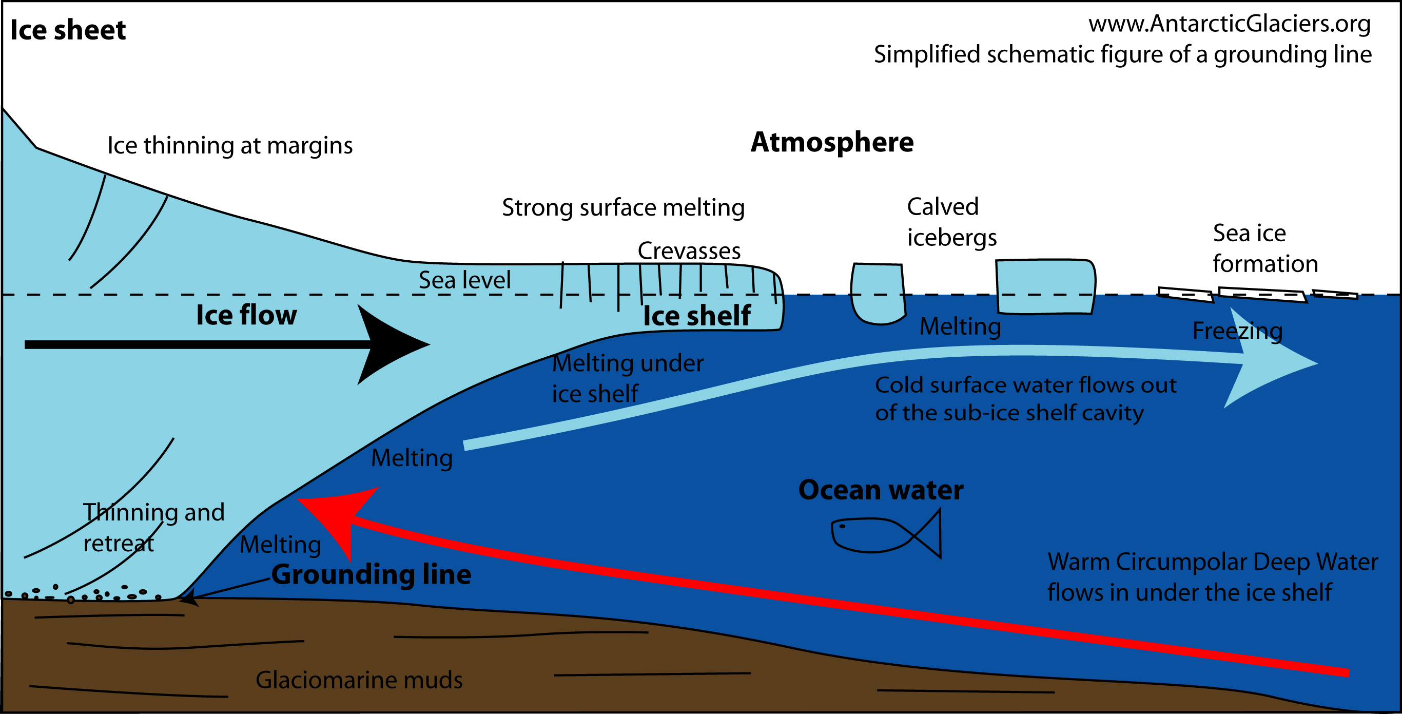 Glacier grounding line diagram