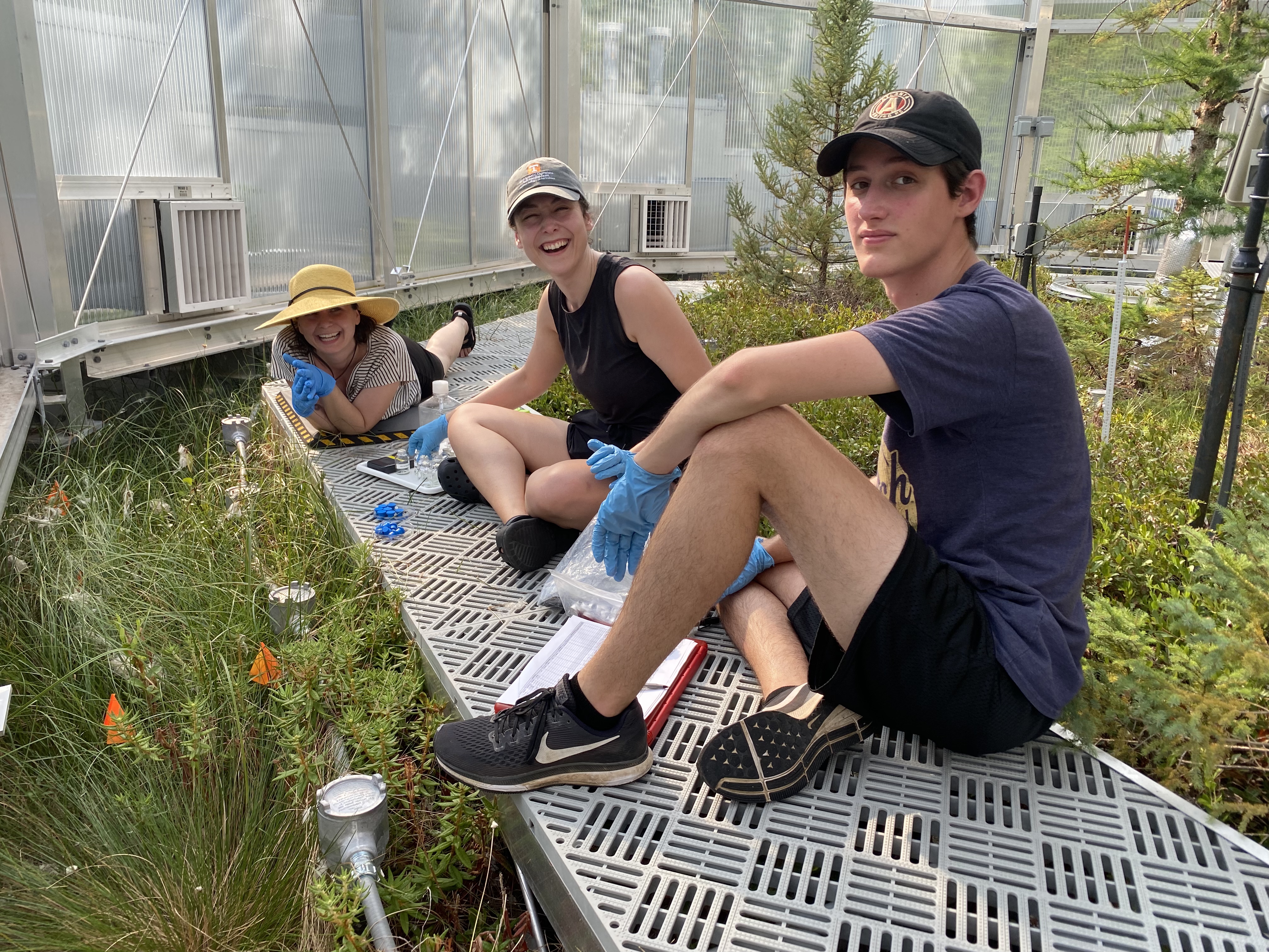 Postdoctoral Researcher Caitlin Petro, Ph.D. student Katherine Duchesneau, and undergraduate student Sekou Noble-Kuchera in a SPRUCE chamber.