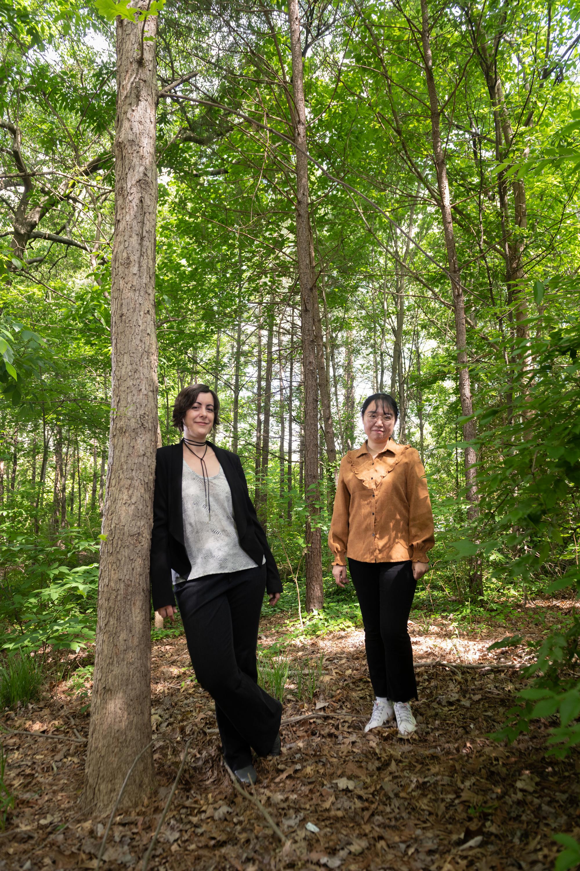 Researchers studying data from fossil pollen - 2