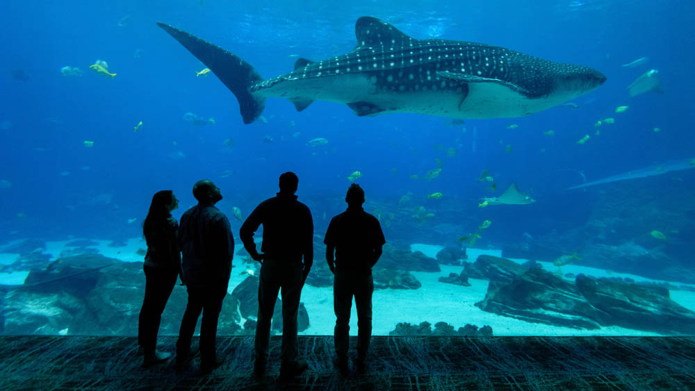 Georgia Tech Leading in the Quest for Ocean Solutions