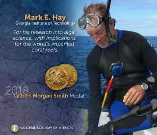 Mark Hay, Recipient of 2018 Gilbert Morgan Smith Medal (Courtesy of National Academy of Sciences)