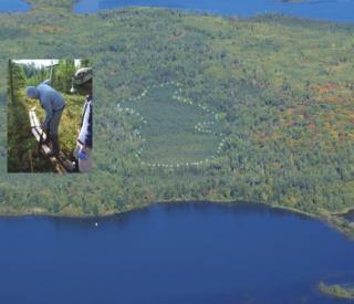 Spruce and Peatland Response Under Climatic and Environmental Change (SPRUCE)