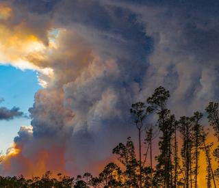 Okefenokee Swamp Wildfire
