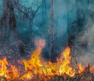 Wildfires