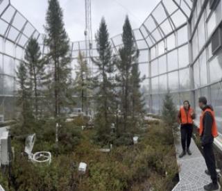 Postdoctoral Researchers Caitlin Petro and Borja Aldeguer-Riquelme inside a SPRUCE chamber in 2023.