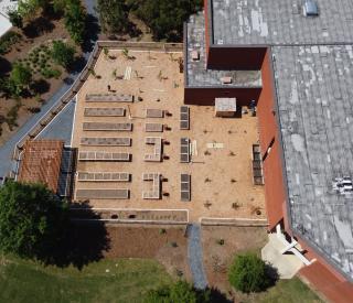 Drone Shot - Community Garden