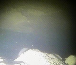 Thwaites Glacier grounding line