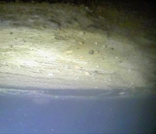 Thwaites grounding zone, sediment in the ice