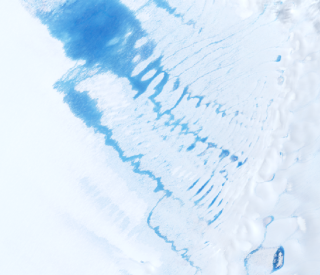  Meltwater lake in East Antarctica observed from the Landsat 8 satellite (Photo: USGS)