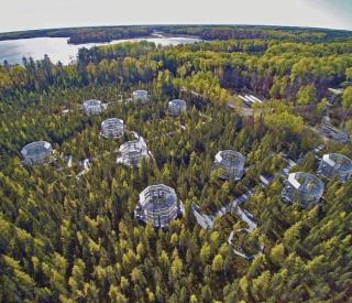An aerial photo of the SPRUCE experiment.