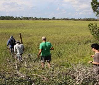 Screenshot 2024-05-15 at 1.26.57 PM.jpg