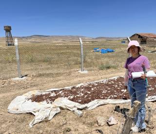 Georgia Tech graduate student Chang Ding pointing at a deployed seismic node in Southern Turkey