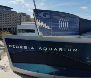 The Georgia Aquarium