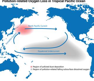 Pollution-related Oxygen Loss in Tropical Pacifc Ocean