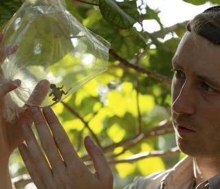 James Stroud examines an anole (Day’s Edge Productions)