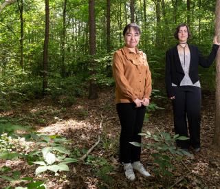 Researchers studying data from fossil pollen