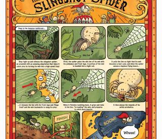 Cartoon explanation of slingshot spider
