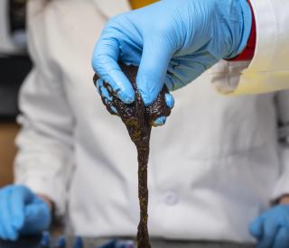 Living liquid of worm blobs