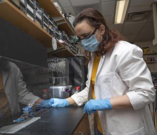 Smarticles interact to form a robot blob