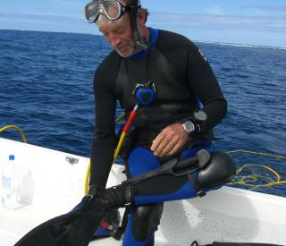 Mark Hay diving